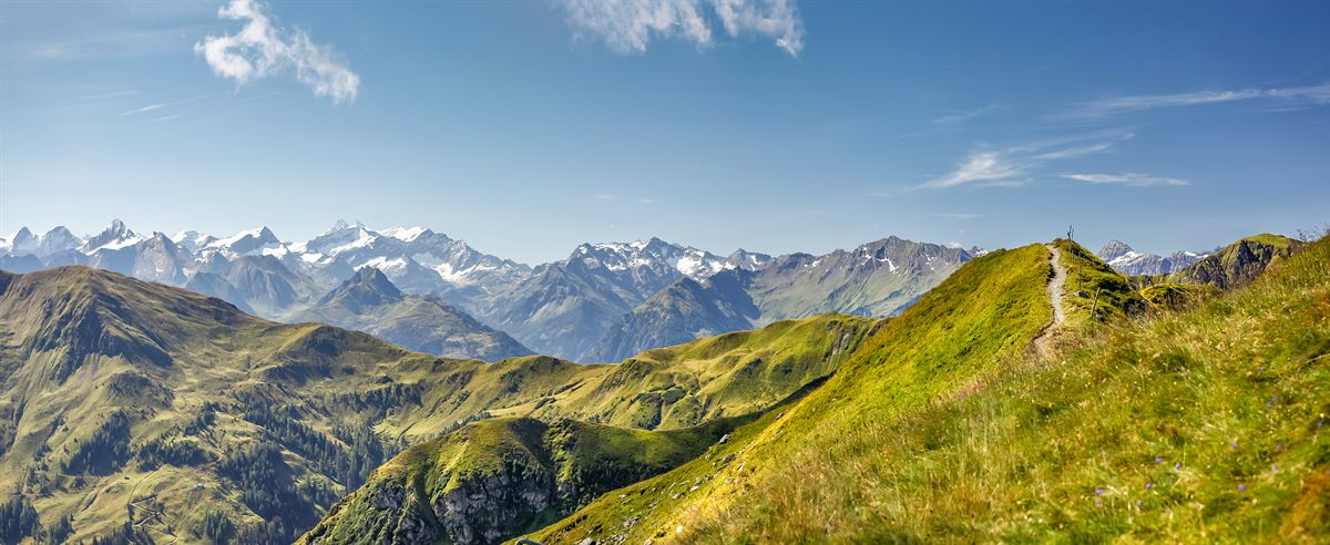 Bergtoppen boven een groen dal bij Zermatt