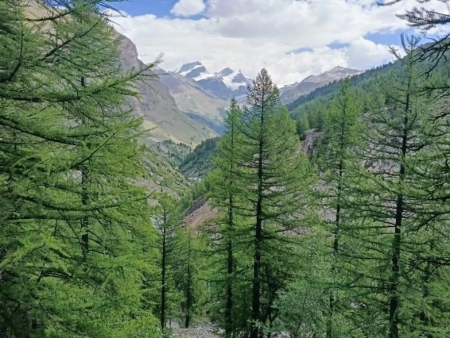 De Matterhorn weerspiegeld in een bergmeer, met rotsblokken op de voorgrond – Riffelsee en Gornergrat (Matterhorn-uitzichtspad), Zermatt