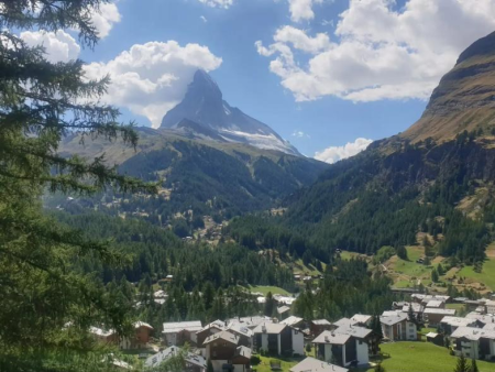 Lariksen op een groene helling met uitzicht in het dal – Cultuurpad via Zmutt en Furi (nr. 36), Zermatt