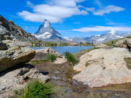 Grindpad door een licht lariksbos – Geschiedenis van de Gornergletsjer (nr. 17b), Zermatt