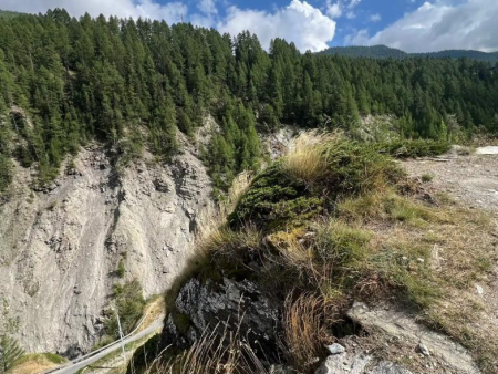 Hangbrug over een dal, tussen de lariksen door gefotografeerd – Hangbrug Furi en de gletsjertuin Dossen, Zermatt